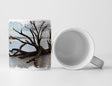 105001079_TASSE3U1rjp2xX7R72_1280x1280.jpg