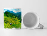 166568594_TASSE1Je9mXeXeYPAB_1280x1280.jpg