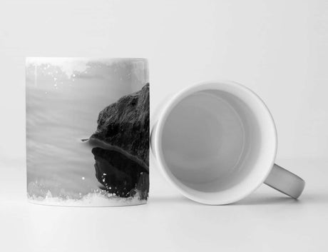 365548718_TASSE8YfnseJMPcKtv_1280x1280.jpg