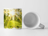 130197554_TASSE6uW2n2MxsSEc9_1280x1280.jpg