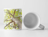 176918960_TASSE9DPBe7ZVItiKd_1280x1280.jpg