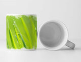 456163693_TASSE8lSPwlvCvZXvu_1280x1280.jpg