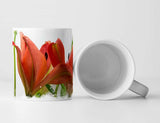 259948502_TASSE9Hy1zP6XSa4u8_1280x1280.jpg