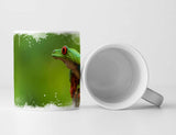 417616603_TASSE9fyPdVsvuTici_1280x1280.jpg