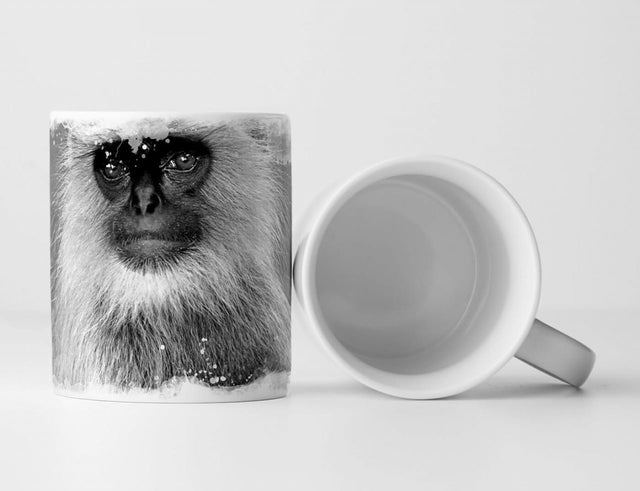 397791802_TASSE9k3KrCO6SpTHz_1280x1280.jpg