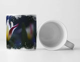 537370738_TASSE2WTwhPj6pe5TE_1280x1280.jpg