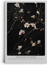 Paul Sinus Leinwandbild 80x120cm The Poetry of Nature Leinwandbild filigrane Blüten auf dunklem Hintergrund poetische Naturkunst mit eleganter Ästhetik