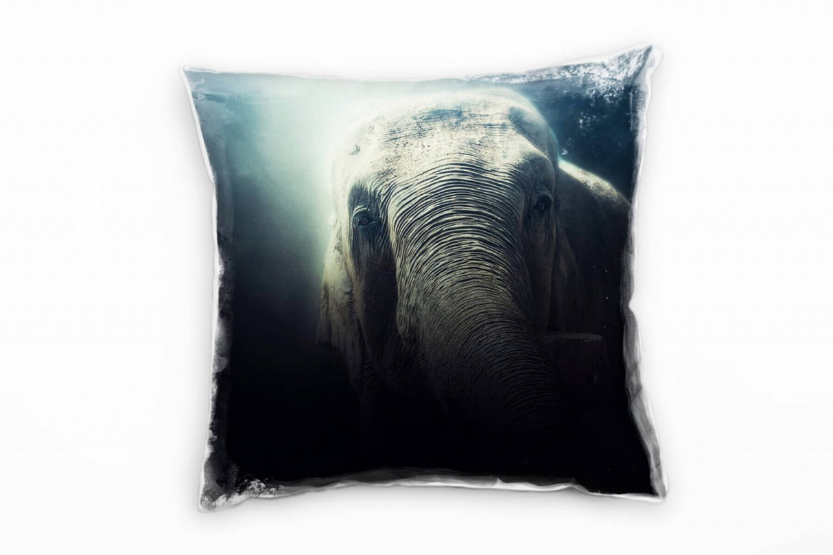 385567123_1280x1280.jpg