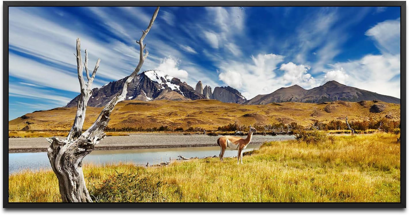 Tiere in Chile ca. 130x70cm Wandbild inklusive Schattenfugenrahmen schwarz - Panorama Leinwand Bild XXL Format Wandbilder Wohnzimmer Wohnung Deko Kunstdrucke