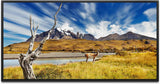 Tiere in Chile ca. 130x70cm Wandbild inklusive Schattenfugenrahmen schwarz - Panorama Leinwand Bild XXL Format Wandbilder Wohnzimmer Wohnung Deko Kunstdrucke