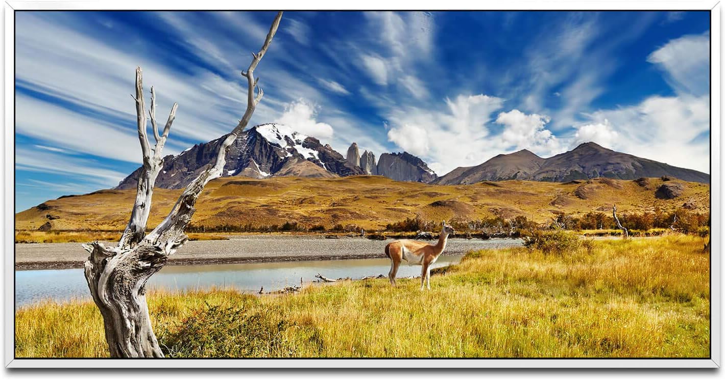 Tiere in Chile ca. 130x70cm Wandbild inklusive Schattenfugenrahmen weiss - Panorama Leinwand Bild XXL Format Wandbilder Wohnzimmer Wohnung Deko Kunstdrucke