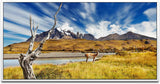 Tiere in Chile ca. 130x70cm Wandbild inklusive Schattenfugenrahmen weiss - Panorama Leinwand Bild XXL Format Wandbilder Wohnzimmer Wohnung Deko Kunstdrucke