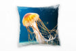 142462492zKBpjlUYrVTjW_1280x1280.jpg