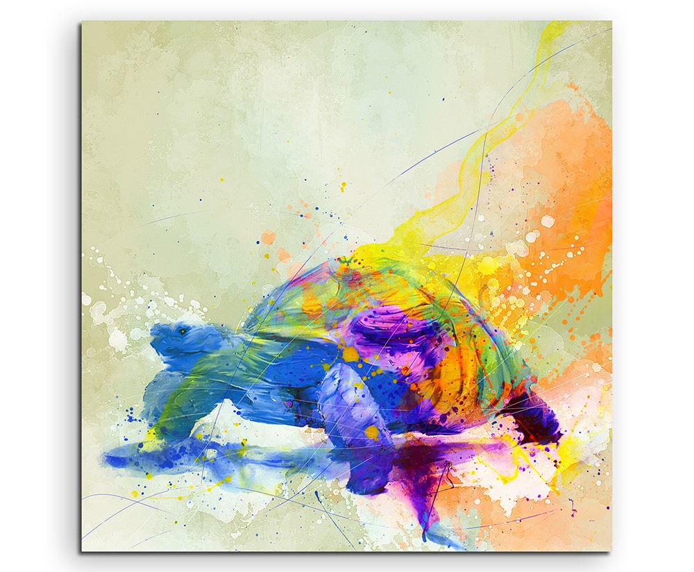 full_Turtle_60x60cm_FRONT_1280x1280.jpg