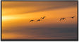 Vögel im Himmel ca. 130x70cm Wandbild inklusive Schattenfugenrahmen schwarz - Panorama Leinwand Bild XXL Format Wandbilder Wohnzimmer Wohnung Deko Kunstdrucke