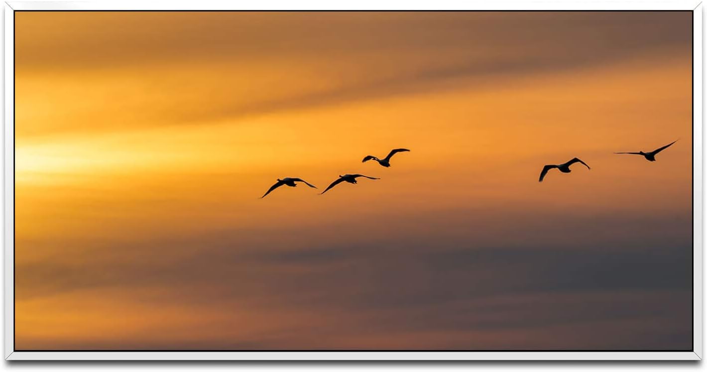 Vögel im Himmel ca. 130x70cm Wandbild inklusive Schattenfugenrahmen weiss - Panorama Leinwand Bild XXL Format Wandbilder Wohnzimmer Wohnung Deko Kunstdrucke