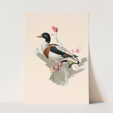 Birds_Aqua_0018_1280x1280.jpg
