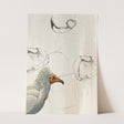 Birds_Aqua_0145_1280x1280.jpg