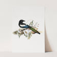 Birds_Aqua_0007_1280x1280.jpg