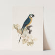 Birds_Aqua_0066_1280x1280.jpg