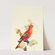 Birds_Aqua_0070_1280x1280.jpg
