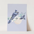 Birds_Aqua_0078_1280x1280.jpg