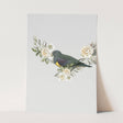 Birds_Aqua_0133_1280x1280.jpg