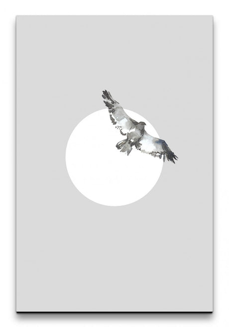 Birds_002_1280x1280.jpg