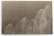 Wandbild 120x80cm Abstrakte Kunst Blüten Blütenblätter Braun Modern
