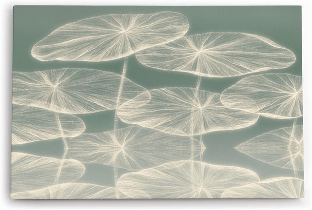 Wandbild 120x80cm Abstrakte Kunst Blüten Blütenblätter Grau Modern