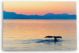 Wandbild 120x80cm Alaska Ozean Wal Walflosse Blaue Stunde Berge