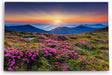 Paul Sinus Wandbild 120x80cm Alpen Berge Gebirge Bergwiese Wiese Natur Wildblumen
