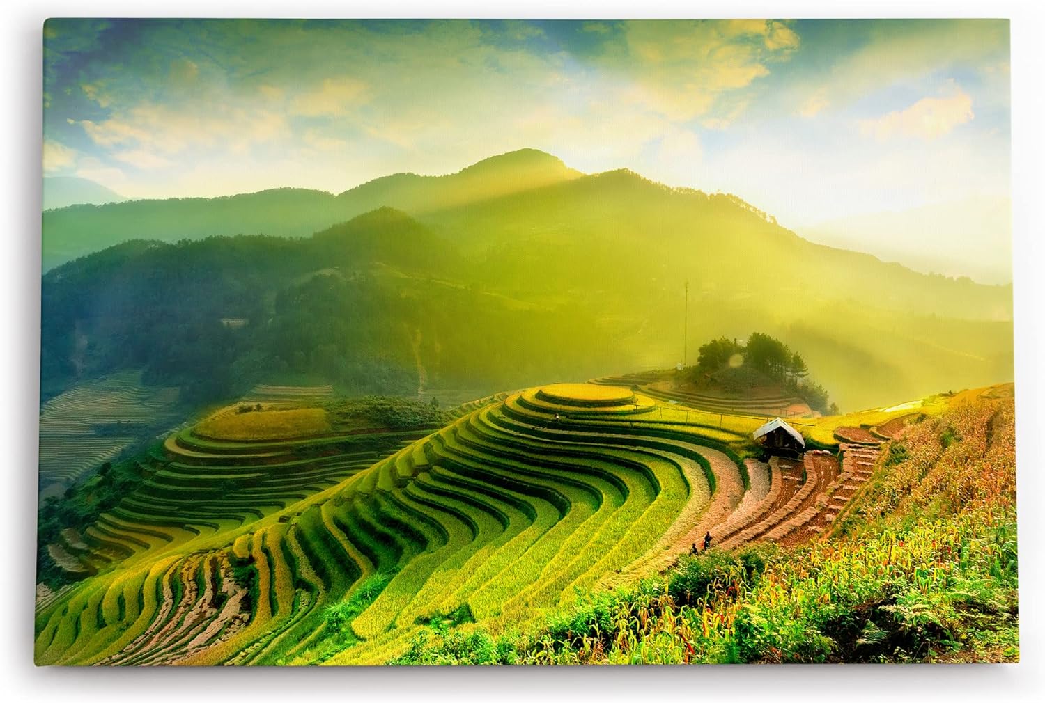 Paul Sinus Wandbild 120x80cm Asien Thailand Reisfelder Berge Hügel Natur Landschaft Grün