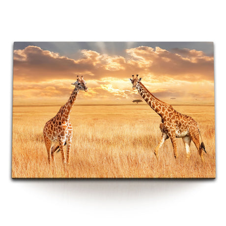 STOCKS_1464BcjZRPLRAcjp1_1280x1280.jpg
