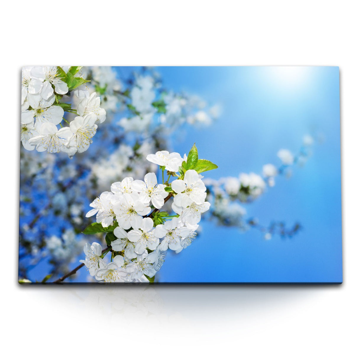 STOCKS_06120DTL35PX9zIRz_1280x1280.jpg