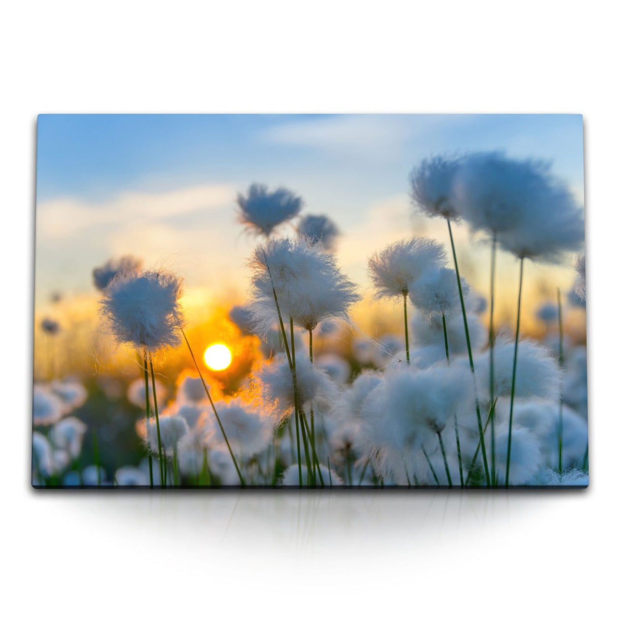 STOCKS_1099831DljyZ91uM1_1280x1280.jpg
