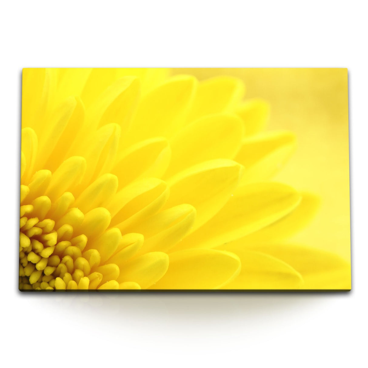 STOCKS_0105jnLcHbEXAvJyl_1280x1280.jpg