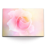 STOCKS_0379jsFxUL3pzpFGY_1280x1280.jpg