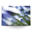 STOCKS_114878mqDVLtnmUfb_1280x1280.jpg