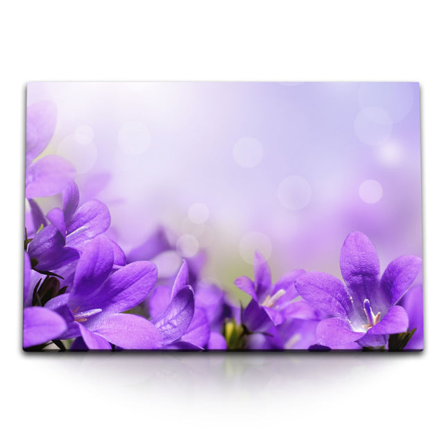 STOCKS_1016g03cDlibGc67O_1280x1280.jpg