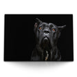 STOCKS_1675GBf5hOYT7lyMH_1280x1280.jpg