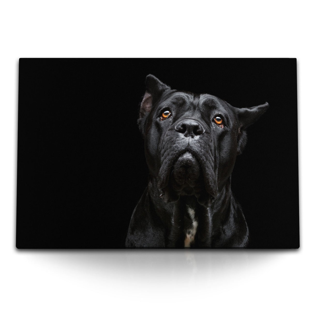 STOCKS_1675GBf5hOYT7lyMH_1280x1280.jpg