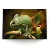 STOCKS_2115ntDy9x36XWgqp_1280x1280.jpg