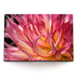 STOCKS_0004MHDptPJhcq8qL_1280x1280.jpg