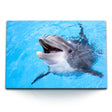 STOCKS_21923dCVUkxKrZCrO_1280x1280.jpg