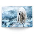 STOCKS_0112nwXPos7uR59ve_1280x1280.jpg