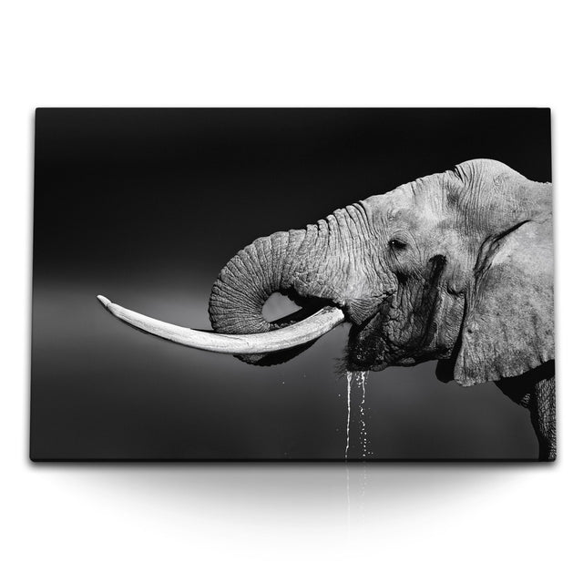 STOCKS_1996ixQ8tFMExlt6E_1280x1280.jpg