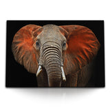 STOCKS_1682g4MeiMWiAvMGa_1280x1280.jpg