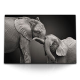 STOCKS_1970KHPLE0rskG894_1280x1280.jpg