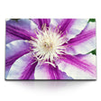STOCKS_1397DJ6VUtLo71UnY_1280x1280.jpg